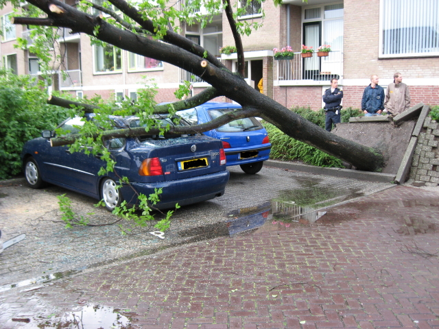 Scaled image img_0115.jpg 