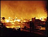 20020205j.jpg