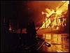 20020205n.jpg
