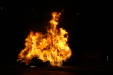Thumbnail PICT3181.JPG 