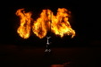 Thumbnail PICT3981.JPG 