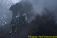 Thumbnail IMG_8290.JPG 