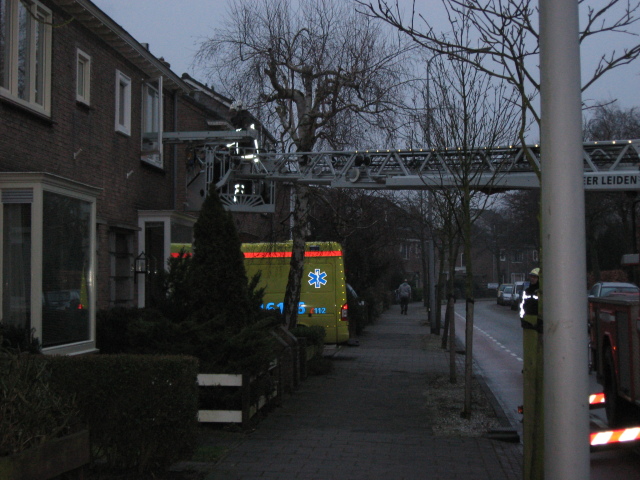 Scaled image IMG_0338.jpg 